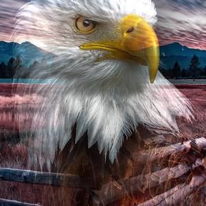 Meet your Posher, Chuck